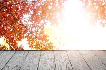 Naklejka na ściany i meble Empty wooden table in autumn park on sunny day