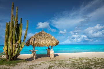 Aruba idyllic caribbean beach at sunny day with rustic palapa, Dutch Antilles