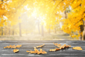 Beautiful autumn leaves on wooden table against white background