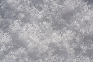 Snow texture, winter white background, backdrop for winter design, copy space.