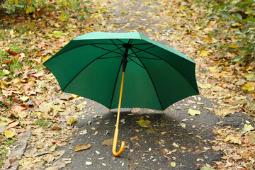 Bright umbrella in autumn park