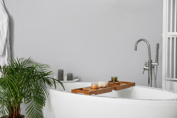 Stylish bathtub and houseplant near light wall