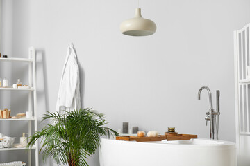 Shelving unit with bath accessories and houseplant near light wall