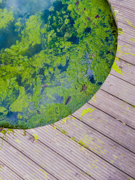 Gridge Images – Browse 34 Stock Photos, Vectors, and Video | Adobe Stock