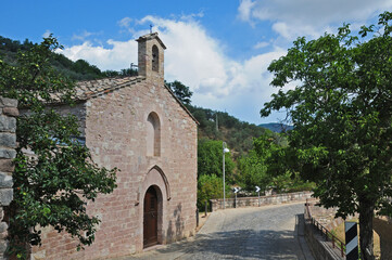 Fototapeta na wymiar Assisi, il Bosco di San Francesco e la Chiesa Santa Croce