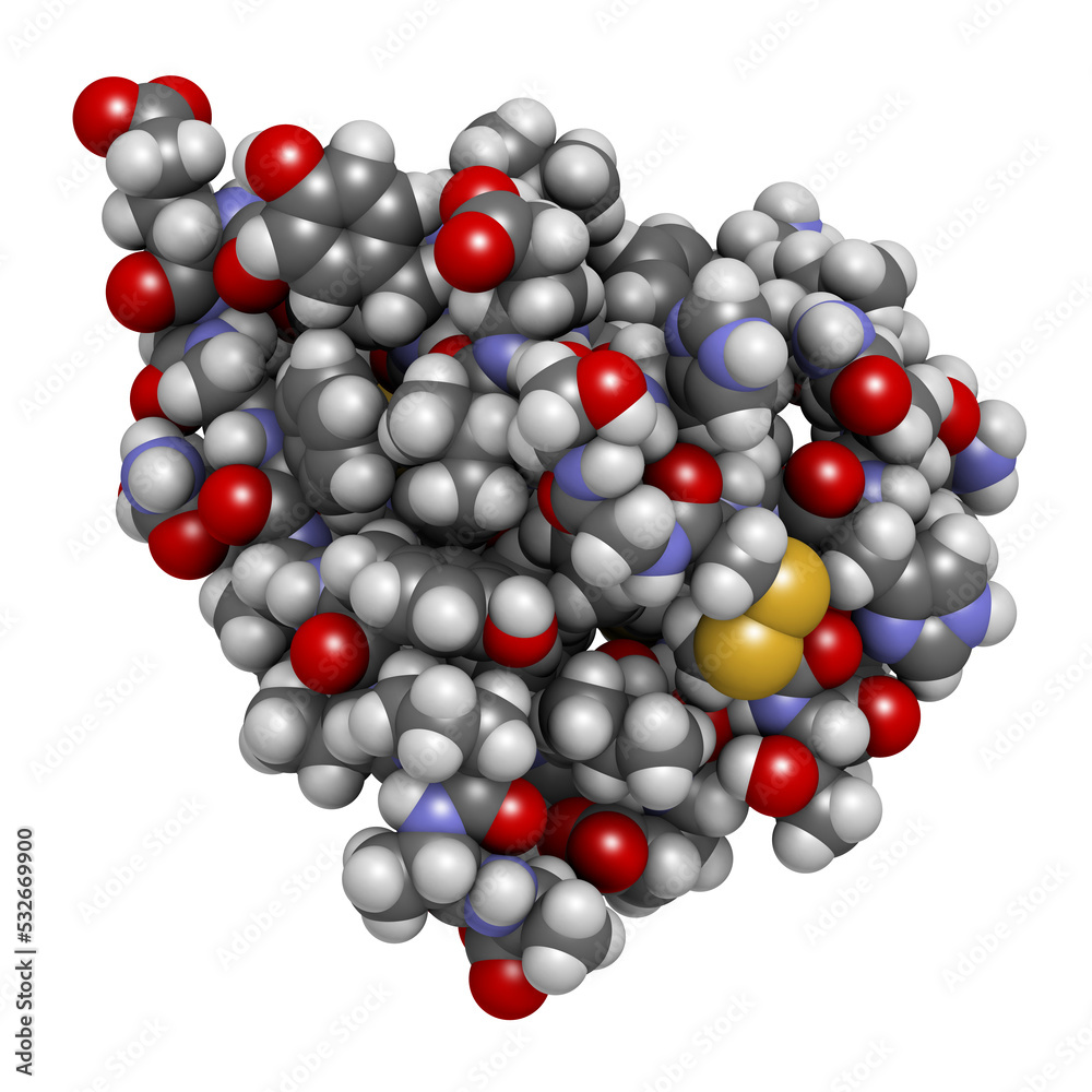 Sticker Insulin peptide hormone, 3D rendering. Important drug in treatment of diabetes. Atoms shown as spheres with conventional color coding...