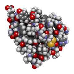 Insulin peptide hormone, 3D rendering. Important drug in treatment of diabetes. Atoms shown as spheres with conventional color coding...