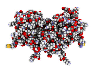 Interferon gamma (IFNg) cytokine molecule, 3D rendering. Recombinant form used in treatment of osteopetrosis and chronic granulomatous disease. 