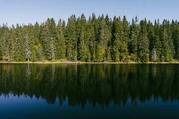 Fototapeta premium Trees by Mærraputten Lake, part of the Svartdalstjerna Forest Reserve of the Totenåsen Hills, Norway.
