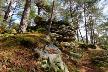Famous sandstone rocks in Restant du Long rocher hills. Fontainebleau forest