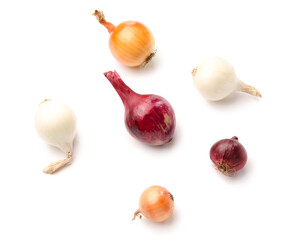 Different types of onion on white background