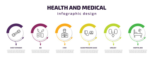 health and medical infographic template with icons and 6 step or option. health and medical icons such as chest expander, bio, x ray, blood pressure gauge, urology, hospital bed vector. can be used