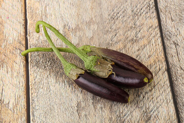 Baby organic purple eggplant heap
