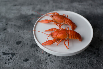 Boiled crayfish on a plate, minimalism.