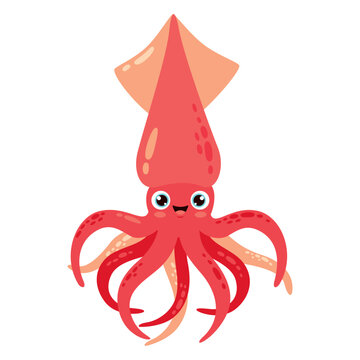 Cartoon Drawing Of A Squid
