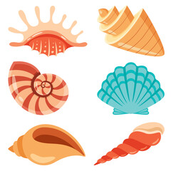 Set Of Various Sea Shells