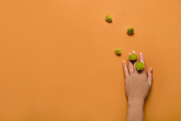 Female hand and green chrysanthemum flowers on orange background