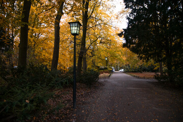 autumn park in Berlin