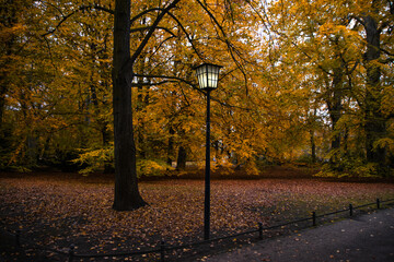 autumn park in Berlin