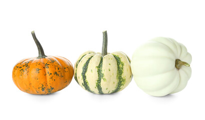 Halloween pumpkins isolated on white background
