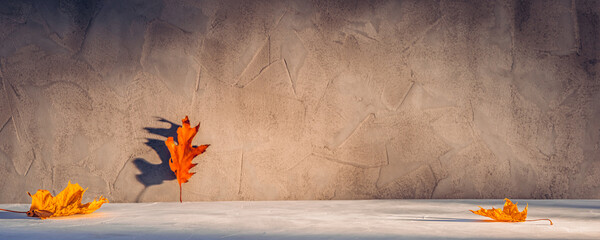 Empty gray textured concrete stone podium background with copy space or product place with fallen...