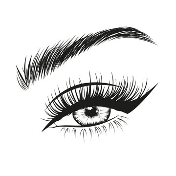 Hand drawn woman's sexy luxurious makeup look with perfectly shaped eyebrow and lashes. Vector illustration for business visit card, typograph, print. Perfect salon look. Brows and lashes lamination.