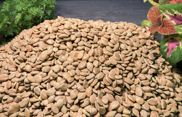 Pumpkin seeds on the table. Healthy food. Collection, storage and preparation of seeds for planting. Organic background.