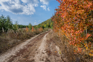 Fototapeta na wymiar Autumn landscape with a road running into the distance.