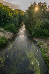 Naklejka premium River seen from above. Almost like Amazon's
