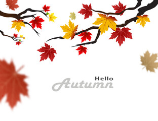 Autumn abstract background with maple leaves background vector illustration.