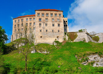 Fototapeta premium Pieskowa Skala - limestone cliff and renaissance castle near Soluszowa village, Lesser Polan Voivodeship.