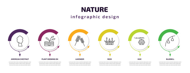 nature infographic template with icons and 6 step or option. nature icons such as american chestnut tree, plant growing on book, lavender, reed, hive, bluebell vector. can be used for banner, info