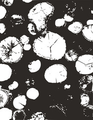 seamless pattern with black and white flowers ,black and white tree print pattern, home decoration ,natural black and white art