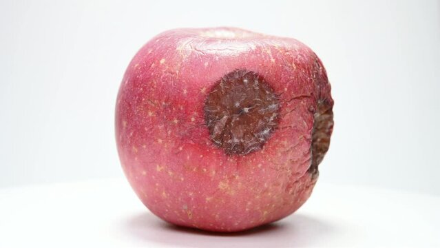 side view rotten apple rotating at horizontal composition