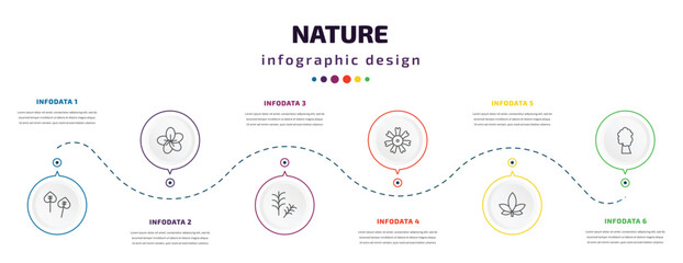 nature infographic element with icons and 6 step or option. nature icons such as poplar, sakura, rosemary, dianthus, hemp, american chestnut tree vector. can be used for banner, info graph, web,