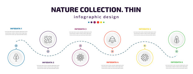 nature collection. thin infographic element with icons and 6 step or option. nature collection. thin icons such as birch, zinnia, gerbera, red spruce tree, knapweed, peppermint vector. can be used