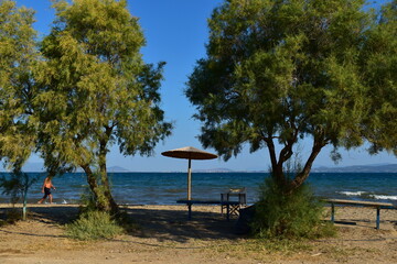 view of the beach in the morning in the village