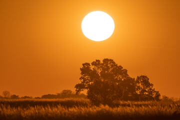 Wschód słońca nad polami w wielkopolsce © Sylwester Popenda