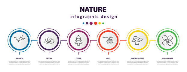 nature infographic template with icons and 6 step or option. nature icons such as branch, protea, cedar, hive, shadbush tree, wallflower vector. can be used for banner, info graph, web,