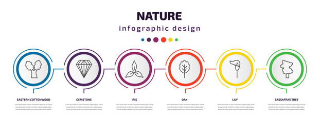nature infographic template with icons and 6 step or option. nature icons such as eastern cottonwood tree, gemstone, iris, oak, lily, sassafras tree vector. can be used for banner, info graph, web, - obrazy, fototapety, plakaty