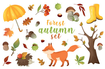 Autumn forest 3d realistic set. Vector illustration isolated elements