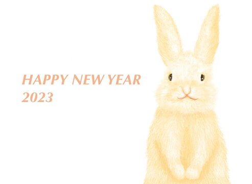 パステル風で、白背景にベージュのウサギが謹賀新年の挨拶をしている年賀状