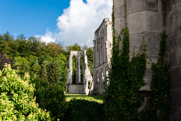 Walkenried Gotik Kloster Ruine - Harz, Südharz, Niedersachsen, Sachsen-Anhalt,