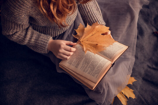 atmospheric autumn photo. a girl in a knitted sweater with a maple leaf in her hands reads an old book  with yellow foliage leaves in the park. family leisure, warm autumn, study, reading