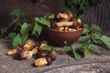 Pile of Imleria Badia or Boletus badius mushrooms commonly known as the bay bolete on vintage wooden background..
