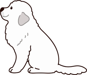 Simple and adorable Great Pyrenees Dog illustration sitting in side view