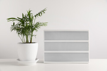 Blank letter board and beautiful houseplant on white table. Mockup for design