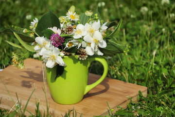 Green cup with different wildflowers and herbs on wooden board in meadow. Space for text
