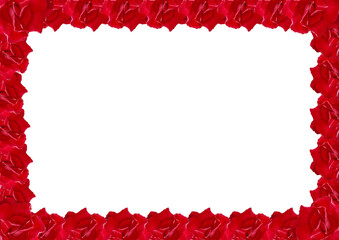 Red Flowers Frame on White Background, Red Desert Rose.