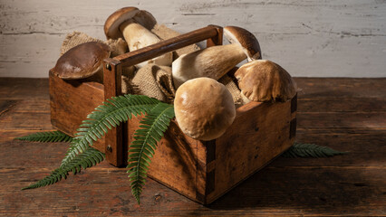 Food photography background - Forest mushrooms / Boletus edulis (king bolete) / penny bun / cep /...